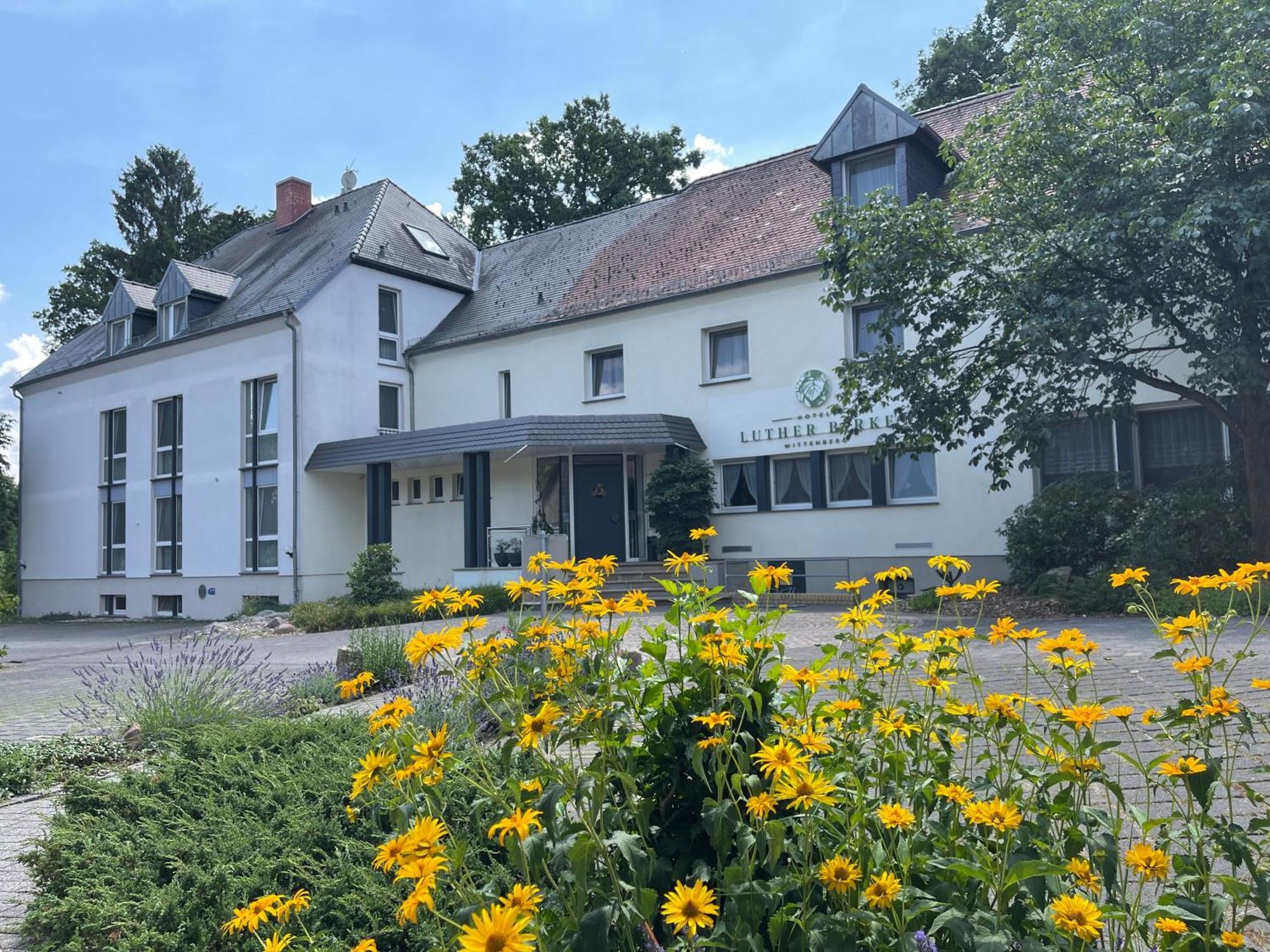 Hotel Luther Birke Wittenberg Εξωτερικό φωτογραφία